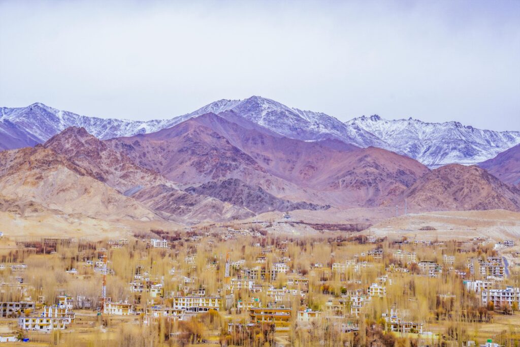 Ladakh Travel